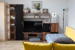 Sunny downtown apartment - Square 59